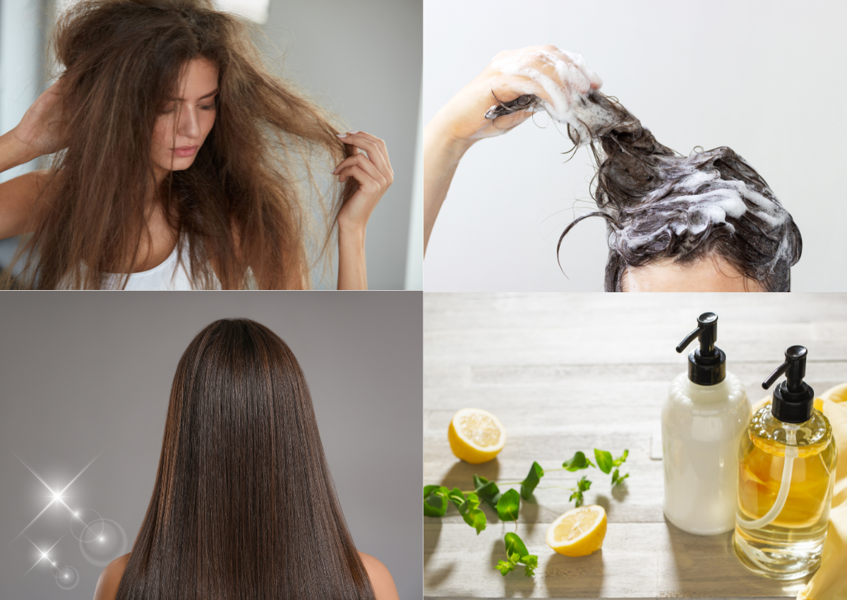 hair-shampoo-images