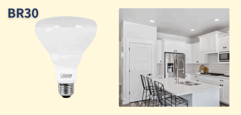 BR30 bulb