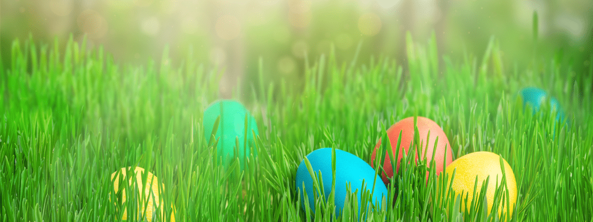 Easter-egg-hunt