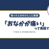 「おなかが痛い」は英語で？